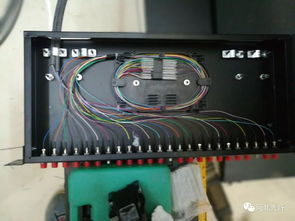 菲尼特（Pheenet）光纤终端盒与光纤接收器 构建高效光网络的关键组件